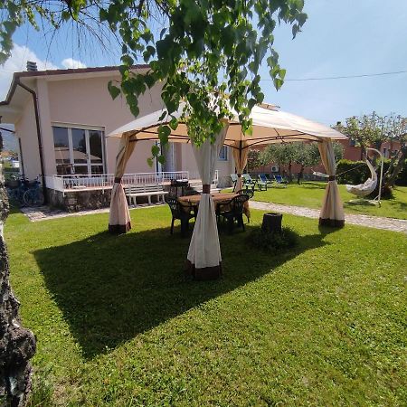La Mimosa Chic Bed and Breakfast Pietrasanta Exteriör bild