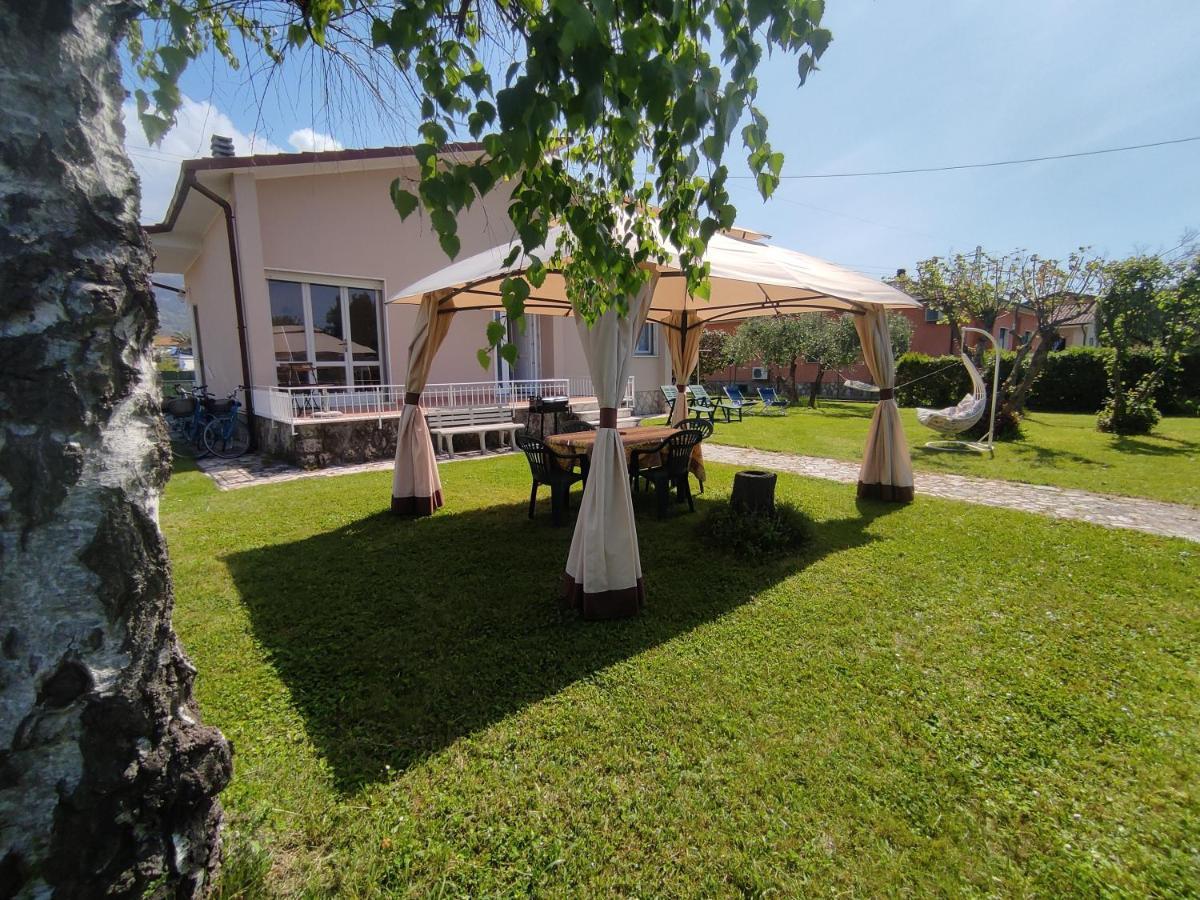 La Mimosa Chic Bed and Breakfast Pietrasanta Exteriör bild